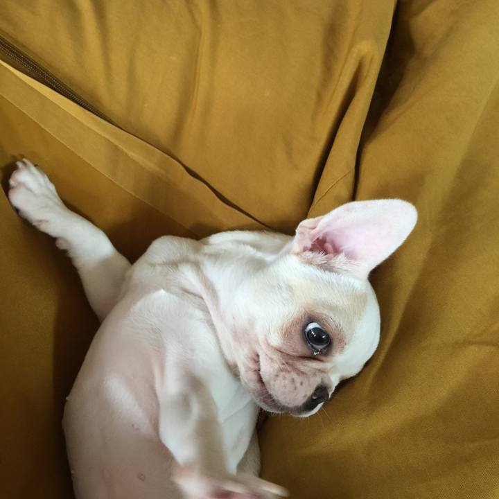 57b92126 3e60 4ec5 8e94 241e57e84183