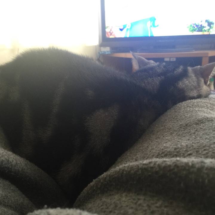 57b938bc 7e93 4023 91ae fe040495fb56