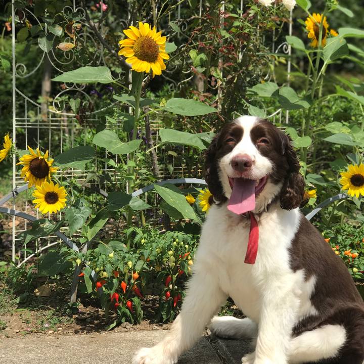 57ba0fa3 6e27 4f14 9669 f64526e08e06