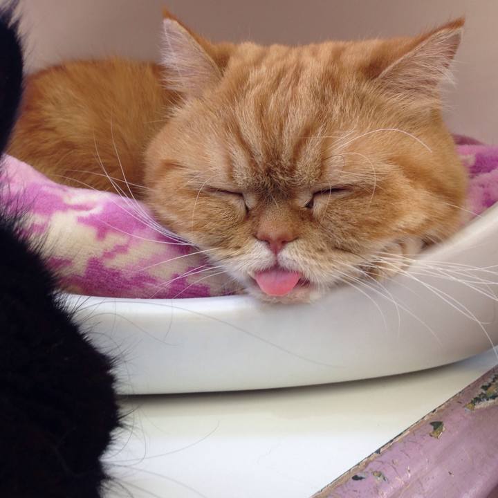 57ba1f1b cb25 46c6 8b3b a0c9dbd171e9