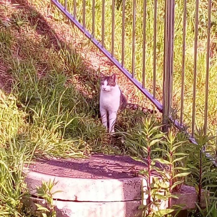 57ba1f61 9fbb 4b9c b80a 3794b821e173