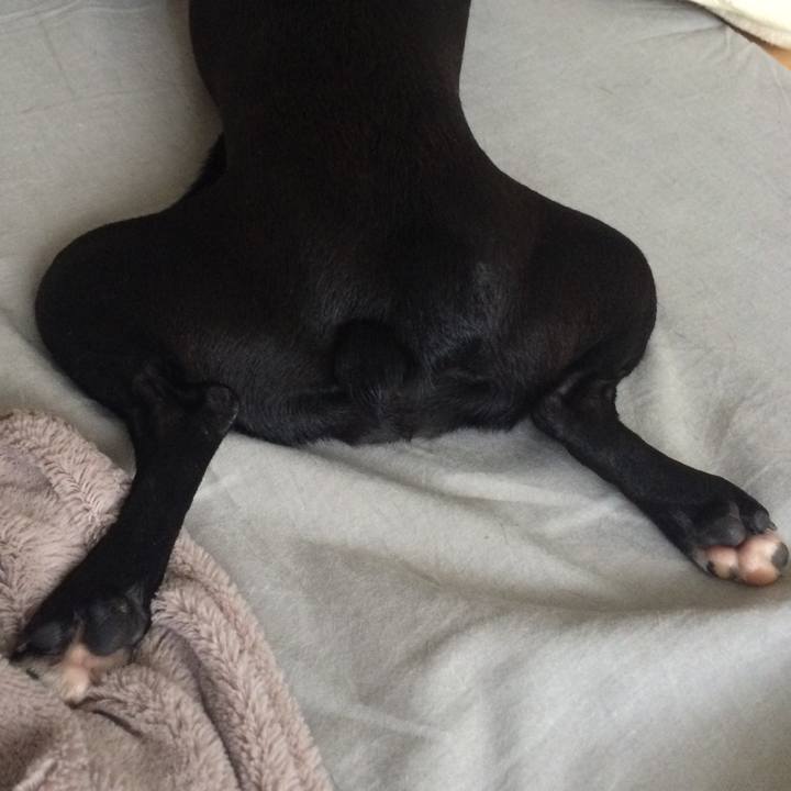 57ba2d74 48b2 4219 8edd 3a538b40a1de