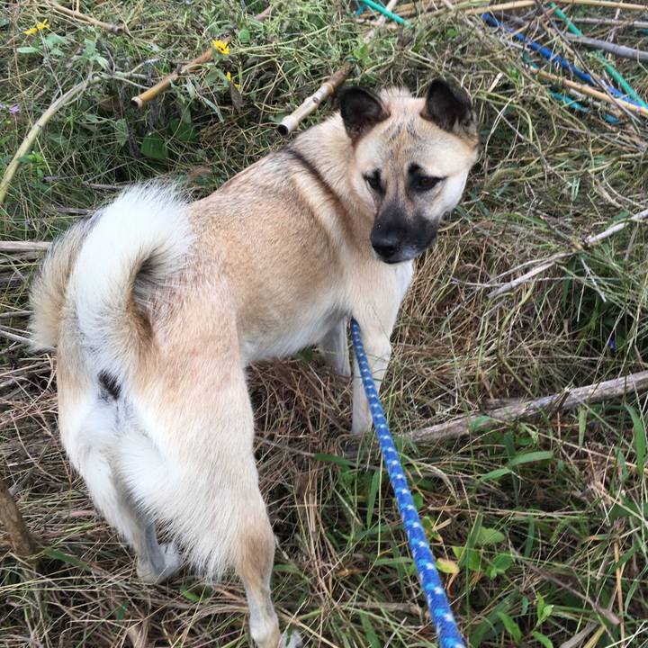 57ba2efc 9786 44bb 97ac 253a1fefc793