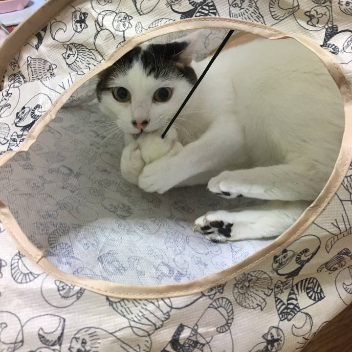 57ba6fad 32ea 4894 9fad 527674fc4c3f