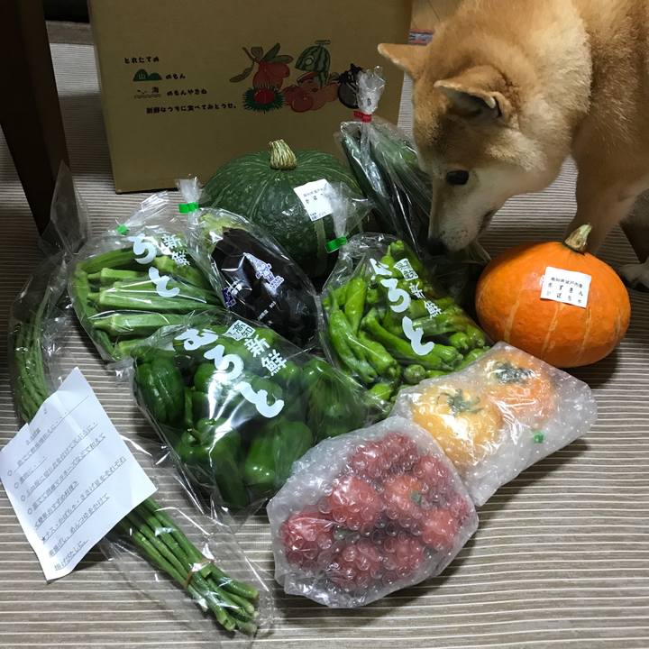 57ba7bb5 a8cd 466d 87eb c63953fd2ccc