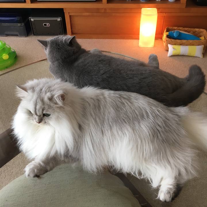 57baac32 8c16 42c2 9bcd 908dc2e335af