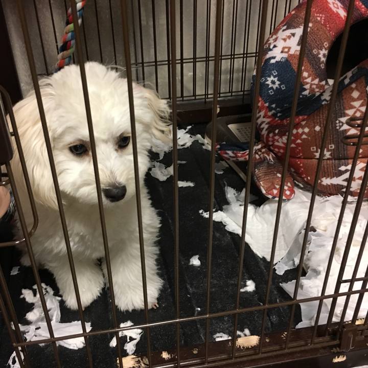 57bab819 1474 41e1 a853 6a8f196e8d09