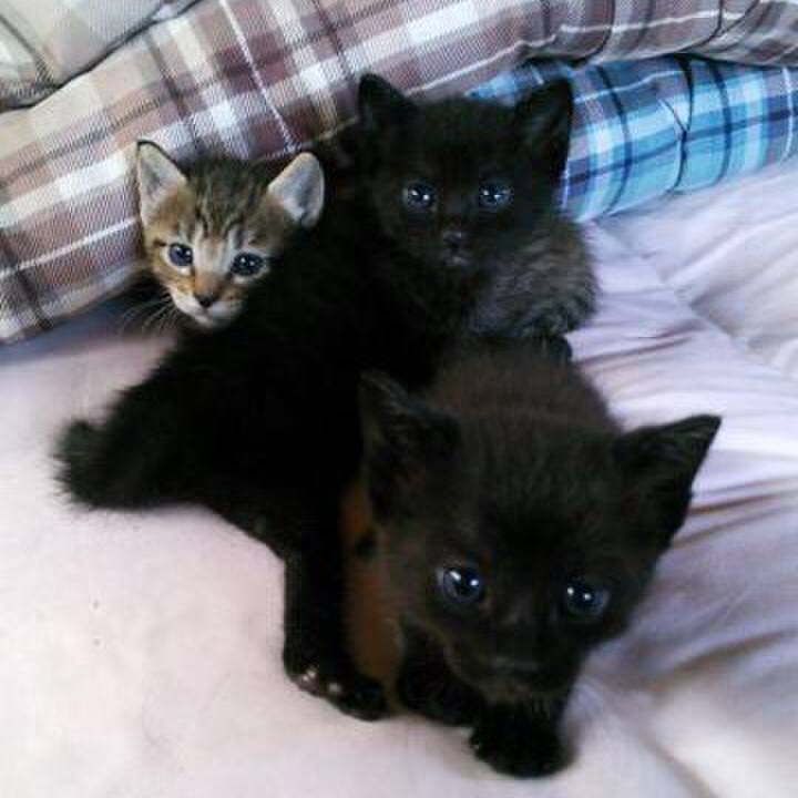 57bb5bac 8bf7 415a a0ff 9ecf7bb05761