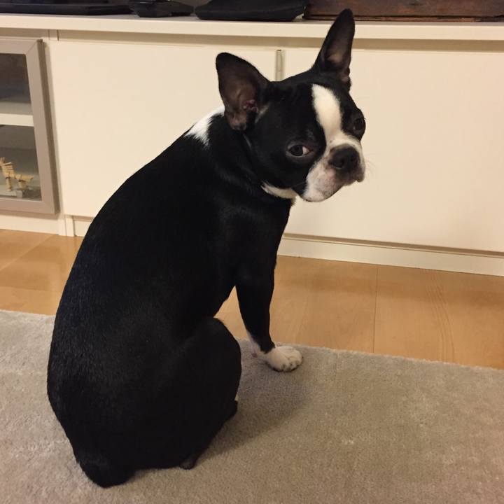 57bd2274 b840 46b2 b4e0 a14f212e4ce2