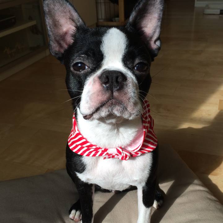 57bd353a d14c 42ca 8ed7 542348aaa2c9