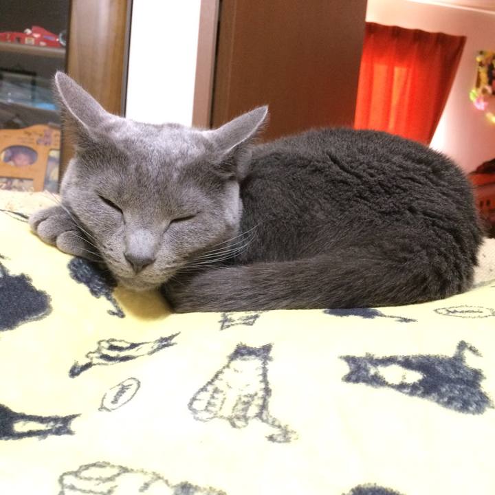 57bd6d32 6a51 4474 9fcb c989572405e6