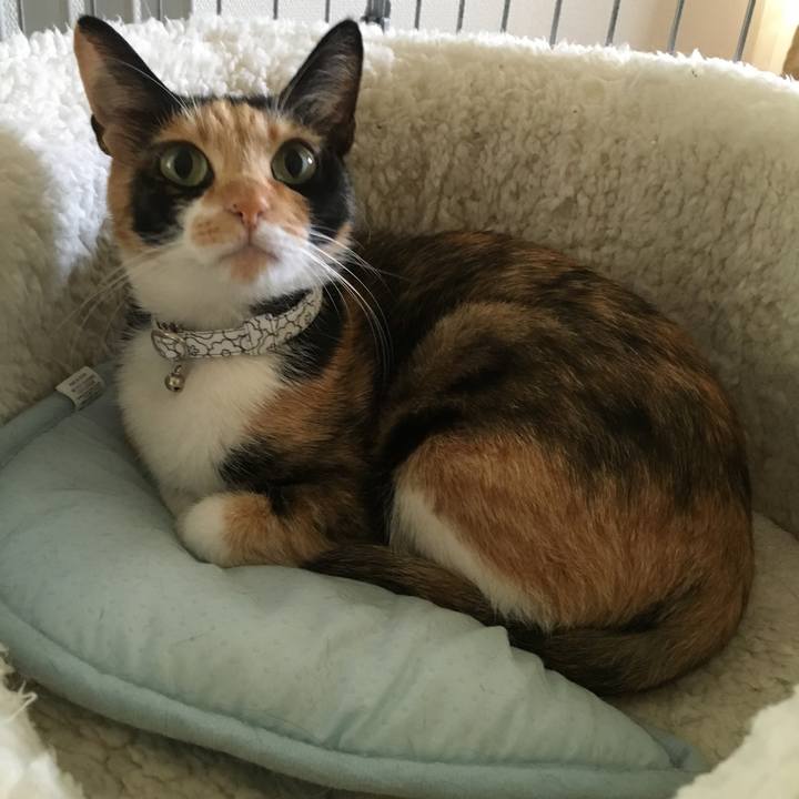 57bdd6b3 7cb7 403c 9164 67974c9dfd02