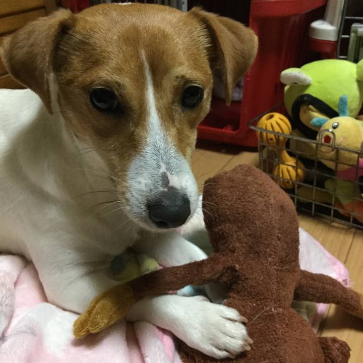 57be11e4 5153 4856 b339 62c50438c13e