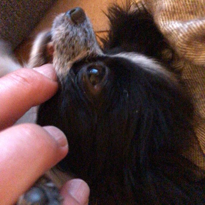 57be3398 a48b 4204 b17c ad2a3cac3705