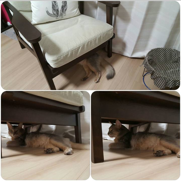 57be4f40 d2dd 4f66 b8c9 91c0f8b41d72