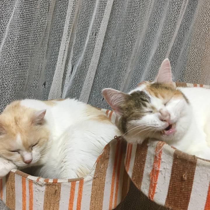 57bf8f90 8d2a 4ada b9c8 632fe1d82c32