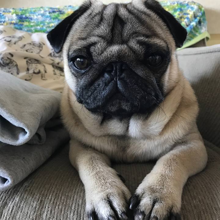 57c02ba5 87fe 4387 a6ae df4ff643cfe7