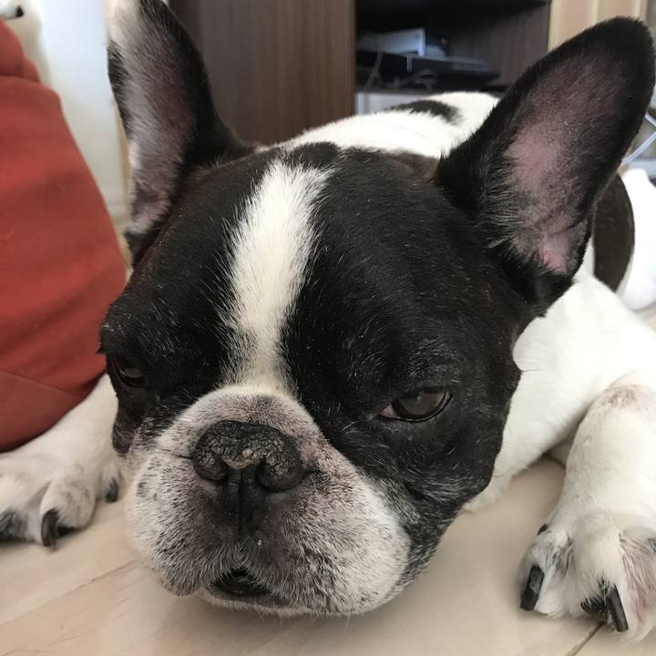 57c097e9 8d51 4b34 879b 4a657fd3e932