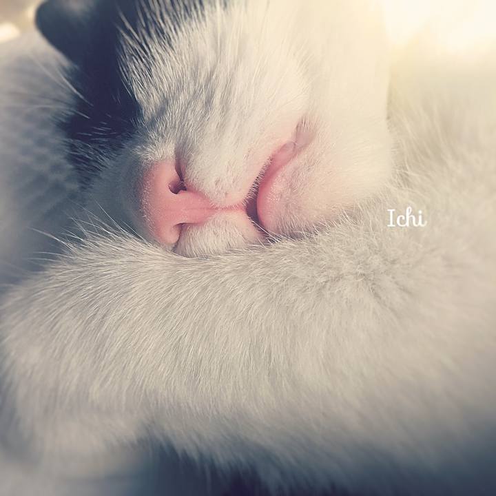 57c0a496 6334 4d7b 9b47 eff9c6bec175