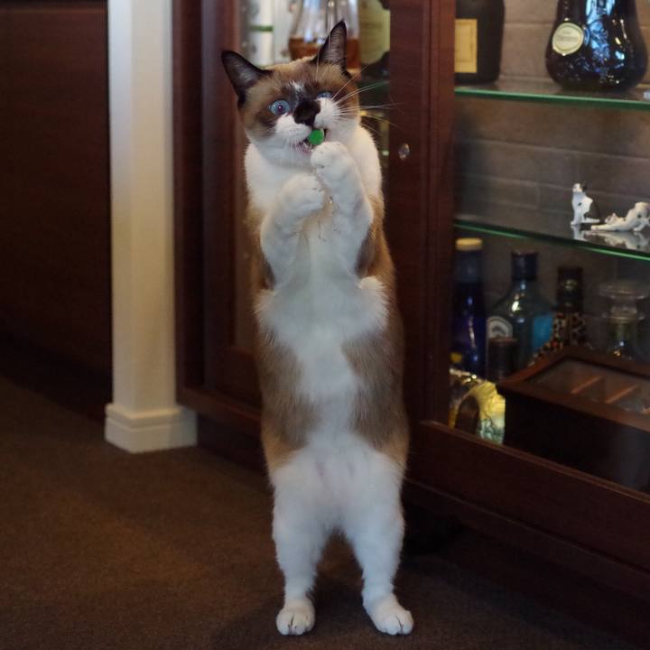 57c13ed7 a8c1 4917 b2cf a6d824d06ee7