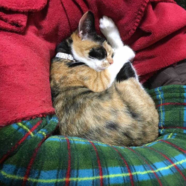 57c14fe3 909e 47b3 9ac9 edc1c95eeaed