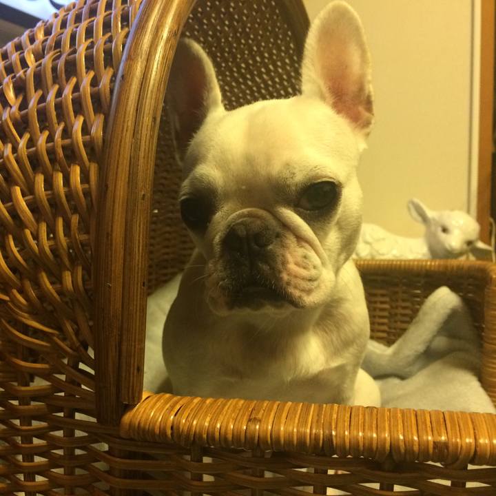 57c18849 8375 401d aaa3 8b37802f77aa