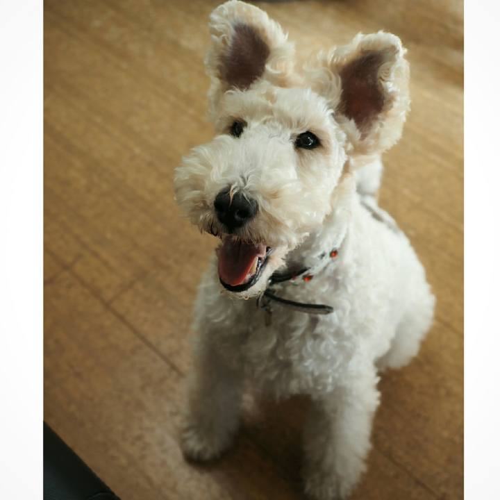 57c1942b 7bb9 475c 84e9 d1fb1faaef41