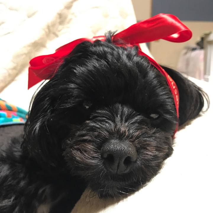 57c24ae0 f5da 4bc7 8018 e01b61f91abe