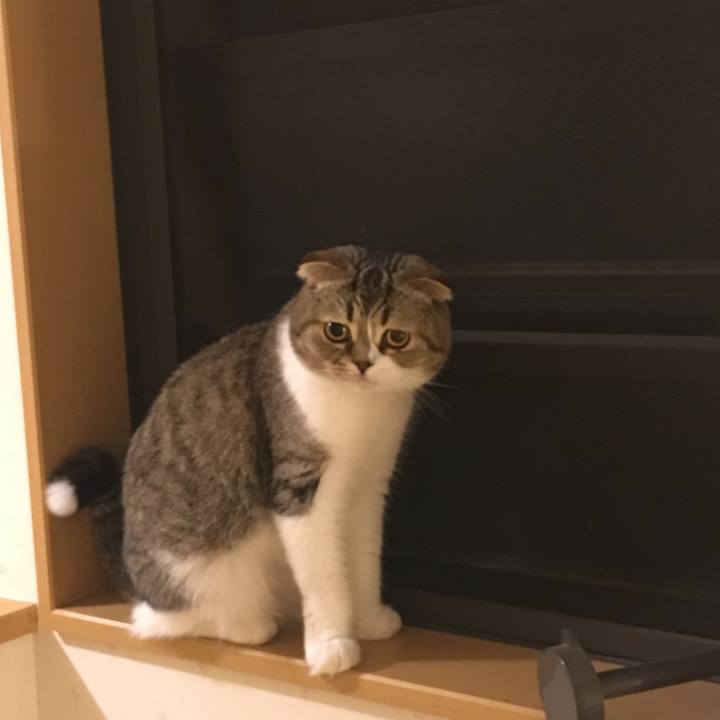 57c27601 0967 4bad a4ad d15bd767a2f3