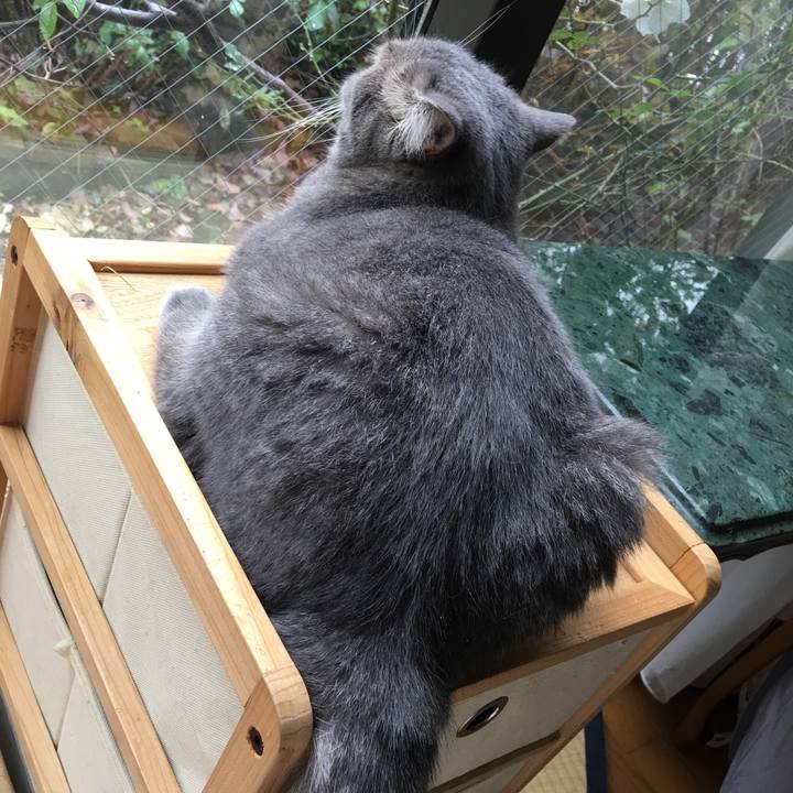 57c38906 a457 4e40 a4a0 b5b3664c174d