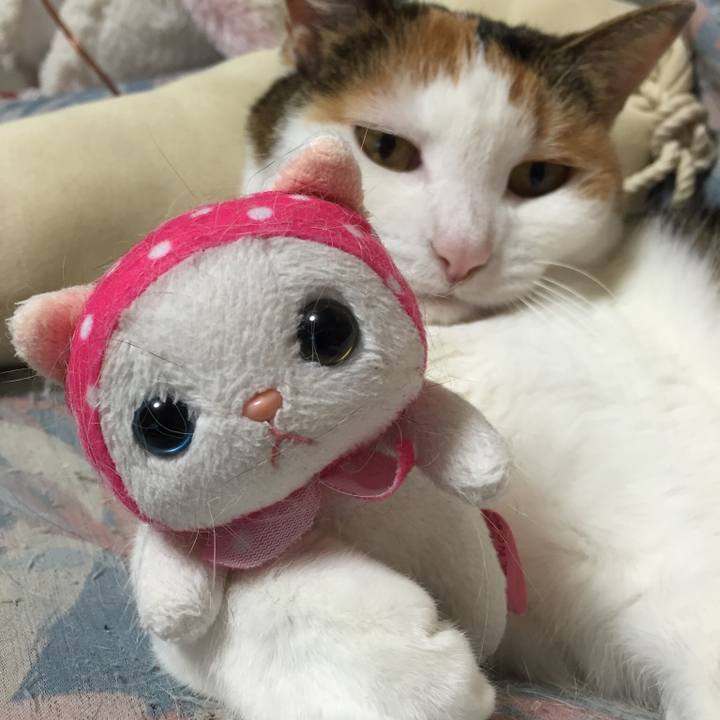 57c3c8a0 b41c 488f 87c3 6e448cea9e55