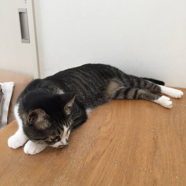 57c3d6ae 82c9 4e63 b795 dc6107540b9b