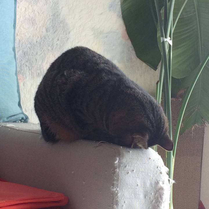 57c40b26 ef0e 4aa5 aa52 dc8be43aabe1