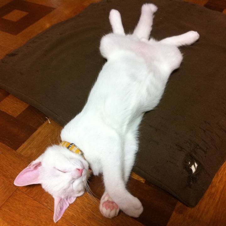 57c425d1 5935 4a2e 8c5f a36299e9be02