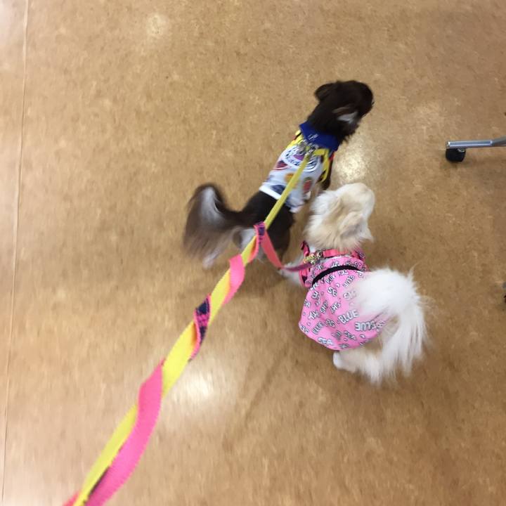 57c592d8 0d41 4182 9d9b 3e42ef61b7e7