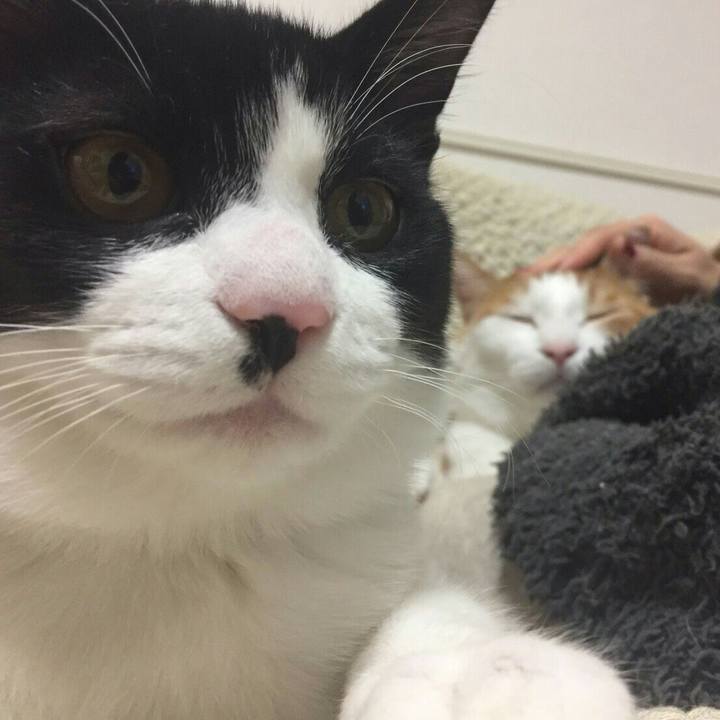 57c5cbf5 2ca4 4954 bfd5 000531a83bac