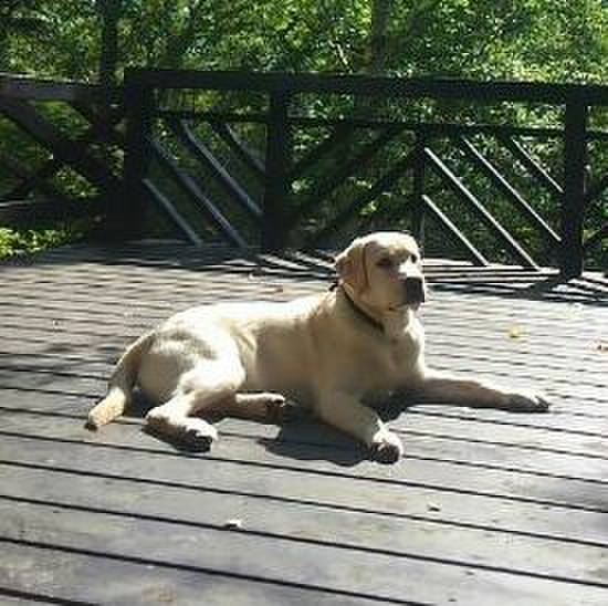 57c5de13 f742 4381 b892 ec633c6bca66