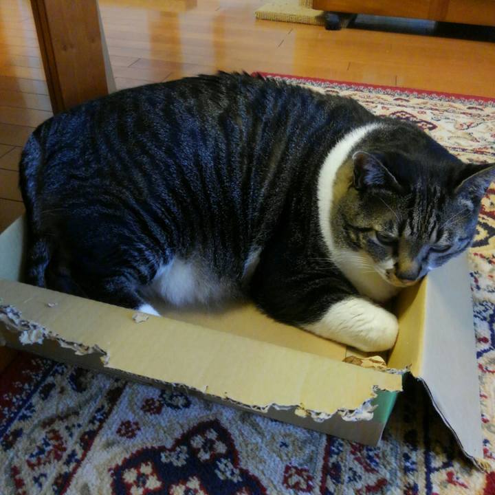 57c65c13 1966 4b73 900d f6804782e36a