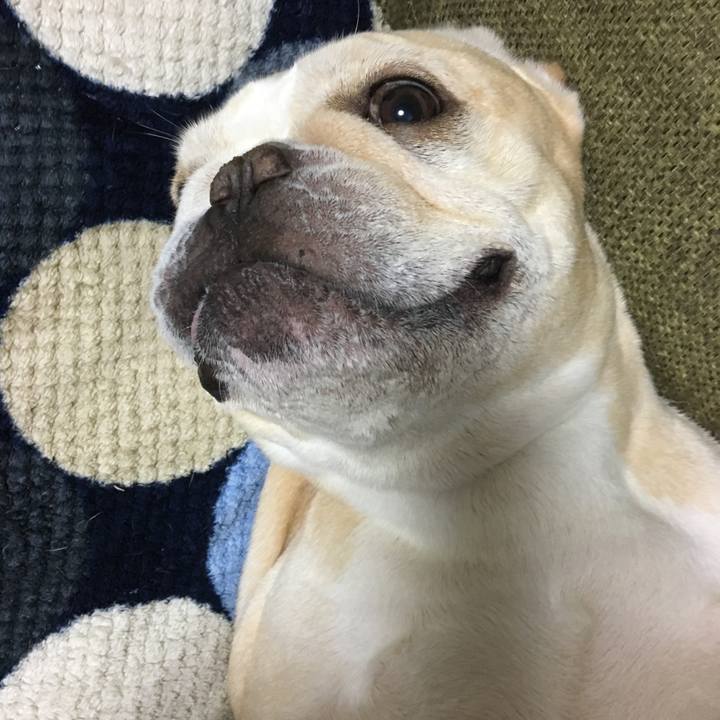 57c7640a cd78 4336 add7 cf38d8c6e8c4