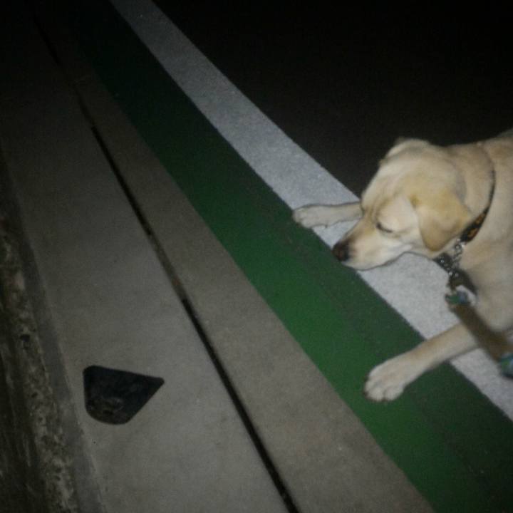 57c77c21 d7a4 4c81 9b17 912422bc9f74