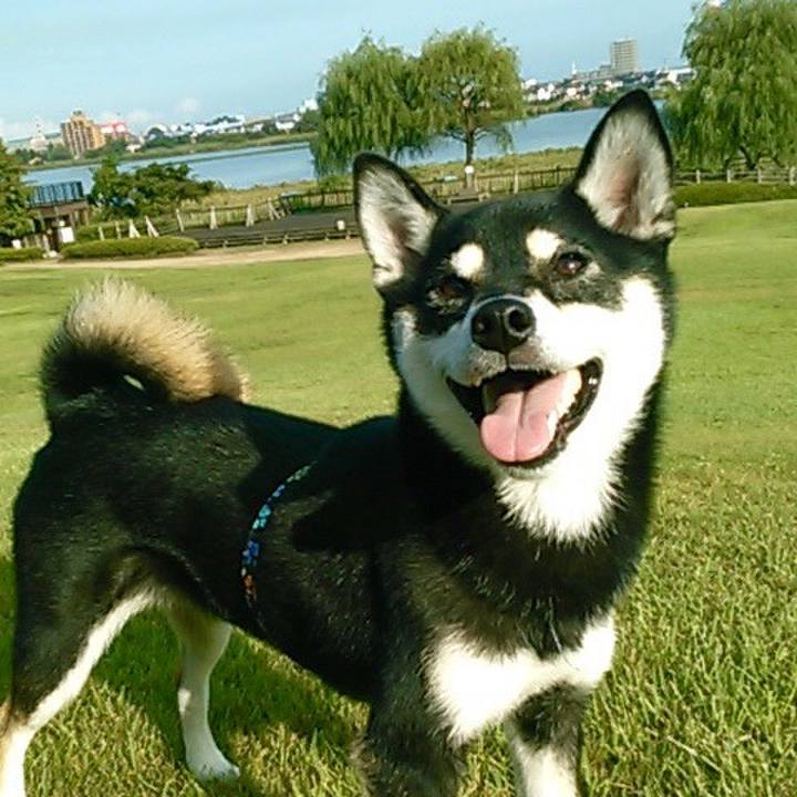 57c7c09b 7d5f 48ae a733 cbca211f5c1d