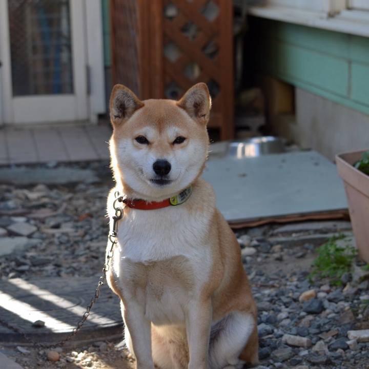 57c8dd15 b616 4cde b7e3 cd042aa3ea49