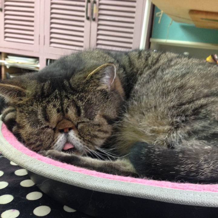 57c908cd 3a6c 47ed b8e4 4159a1972d58