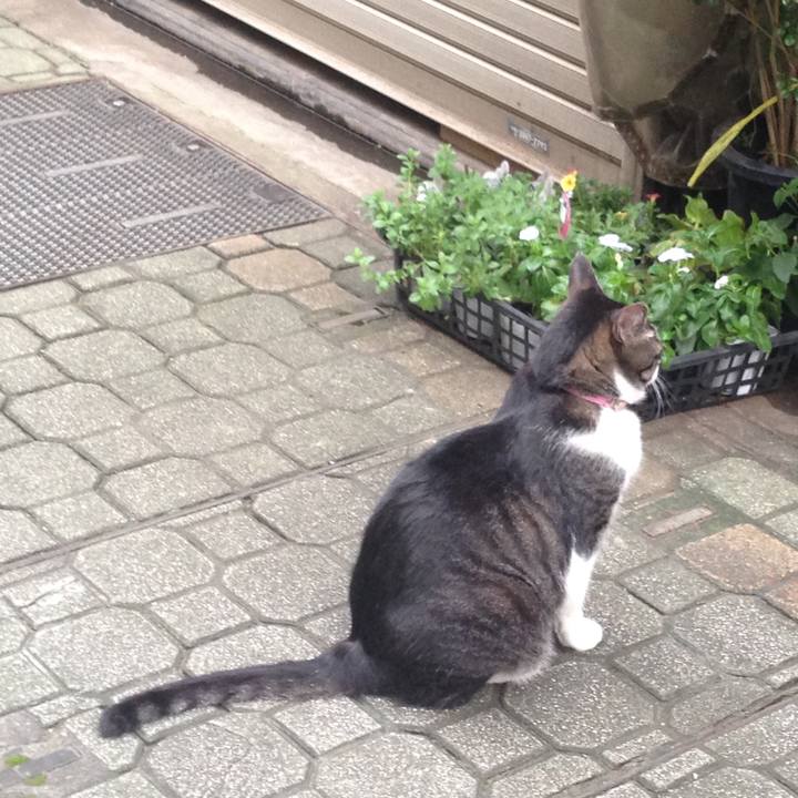 57c9754d 4966 4473 acaa 8af848928cc1