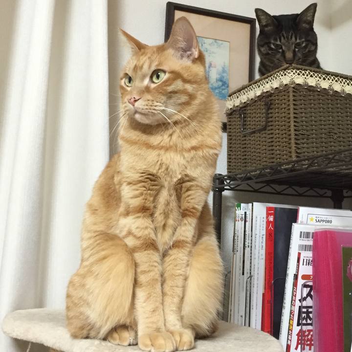 57caefb5 4f18 4411 9326 05d55832c404