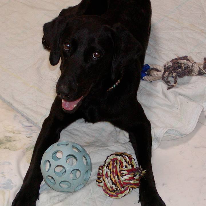 57cb4c51 699e 40ad ad6a 0a2f9495d17d