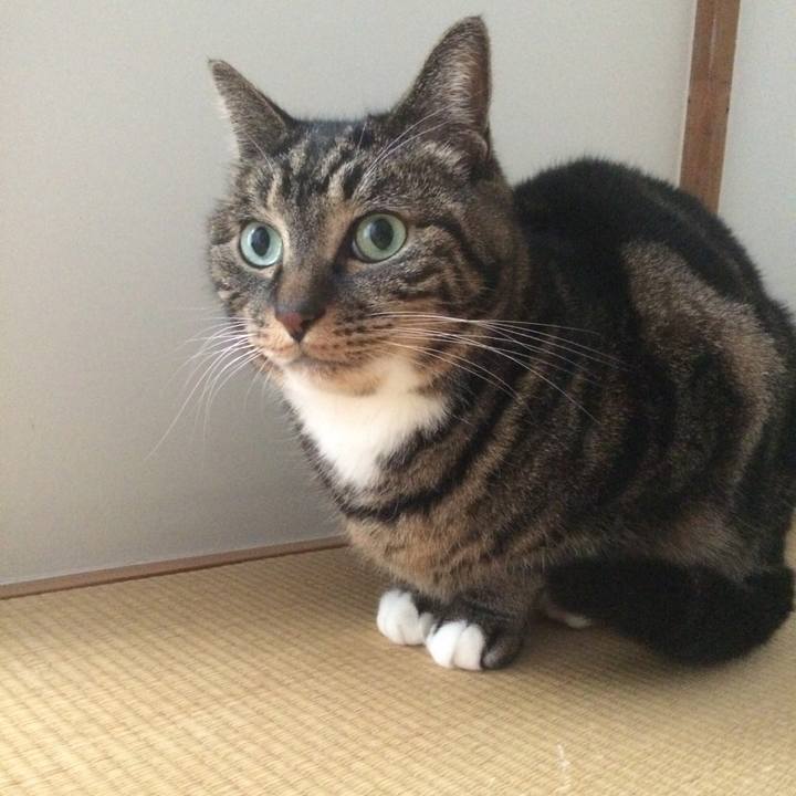 57cc7592 00c0 4f11 a0d4 82fab11f9816