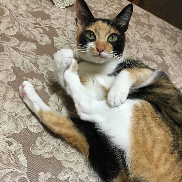 57cd18a4 b76e 409a 8968 8646f2df1d9c