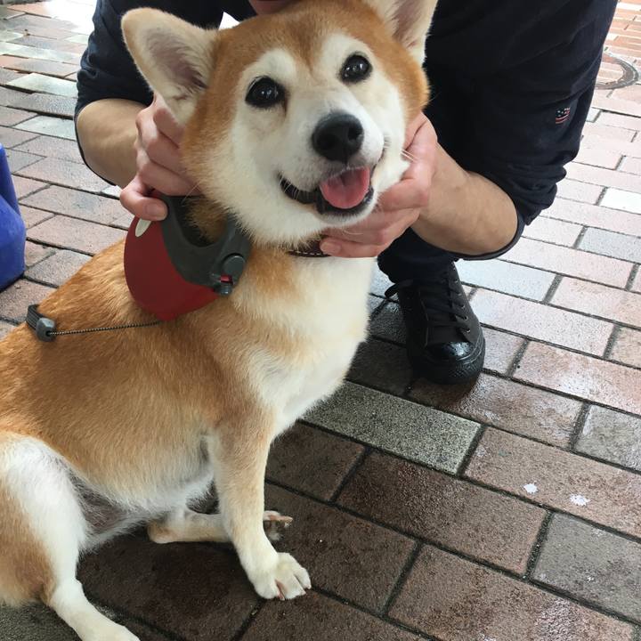 57cd9b83 0a19 44bd a7b2 a0a0ae2b79e6