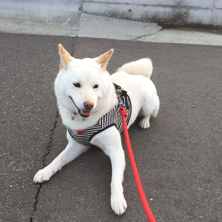 57ce0f22 3b3f 4c90 bd93 69b913b8a524